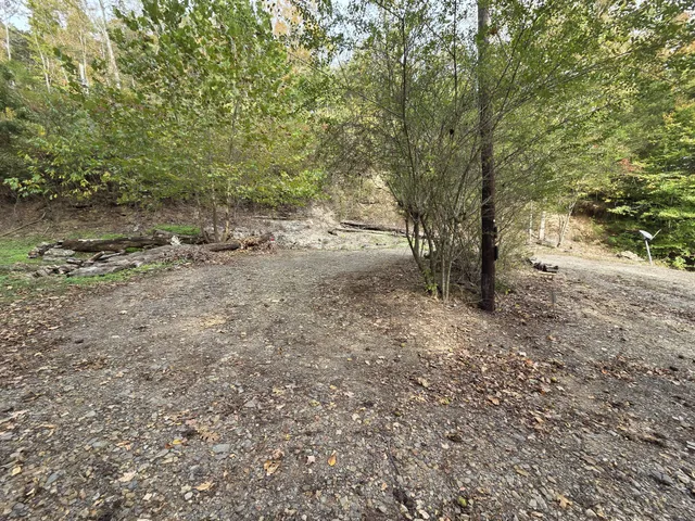 a view of a yard with large trees
