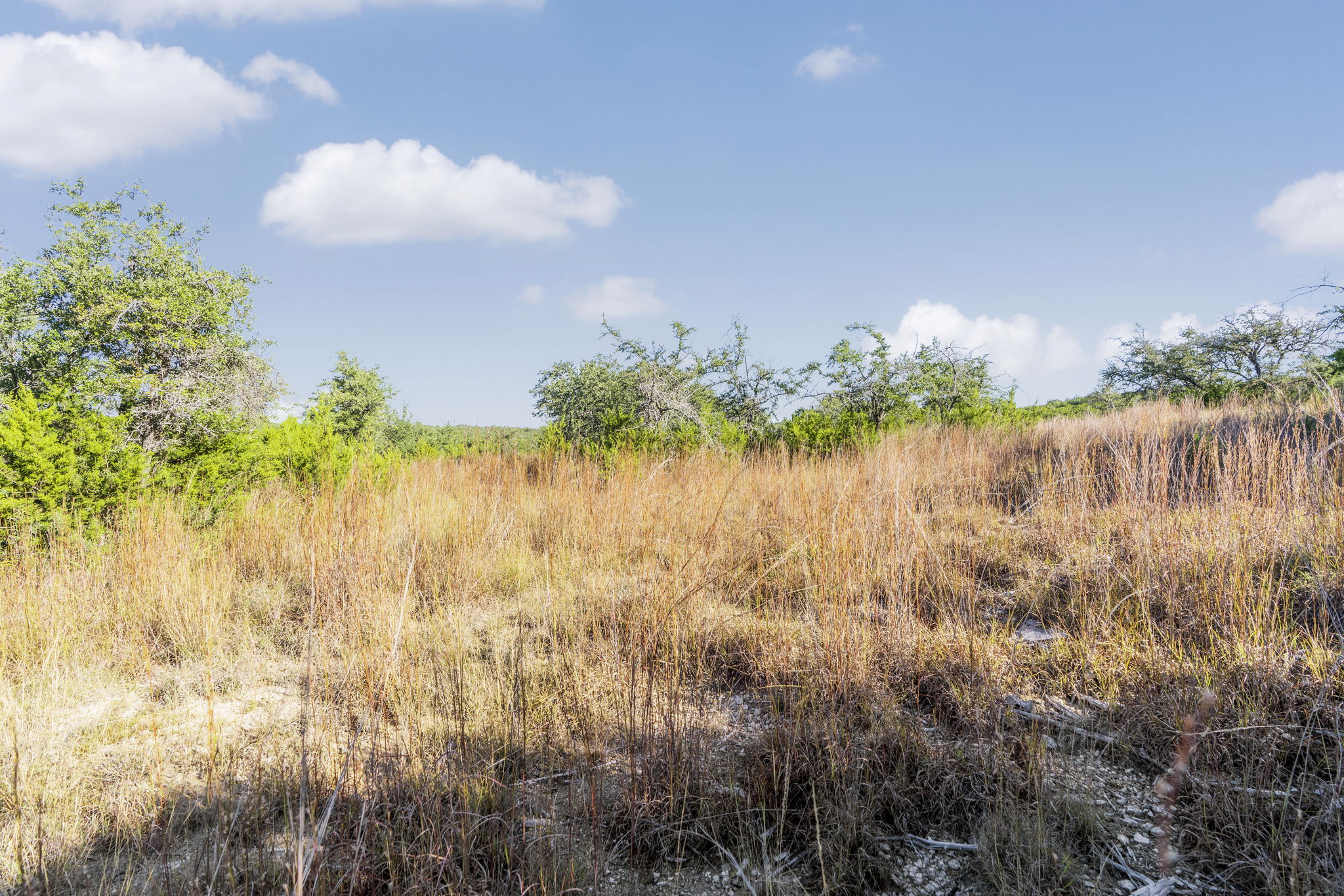 2021 Stagecoach Ranch Road Dripping Springs, TX 78620 - Photo 11 of 35 a view of a lake