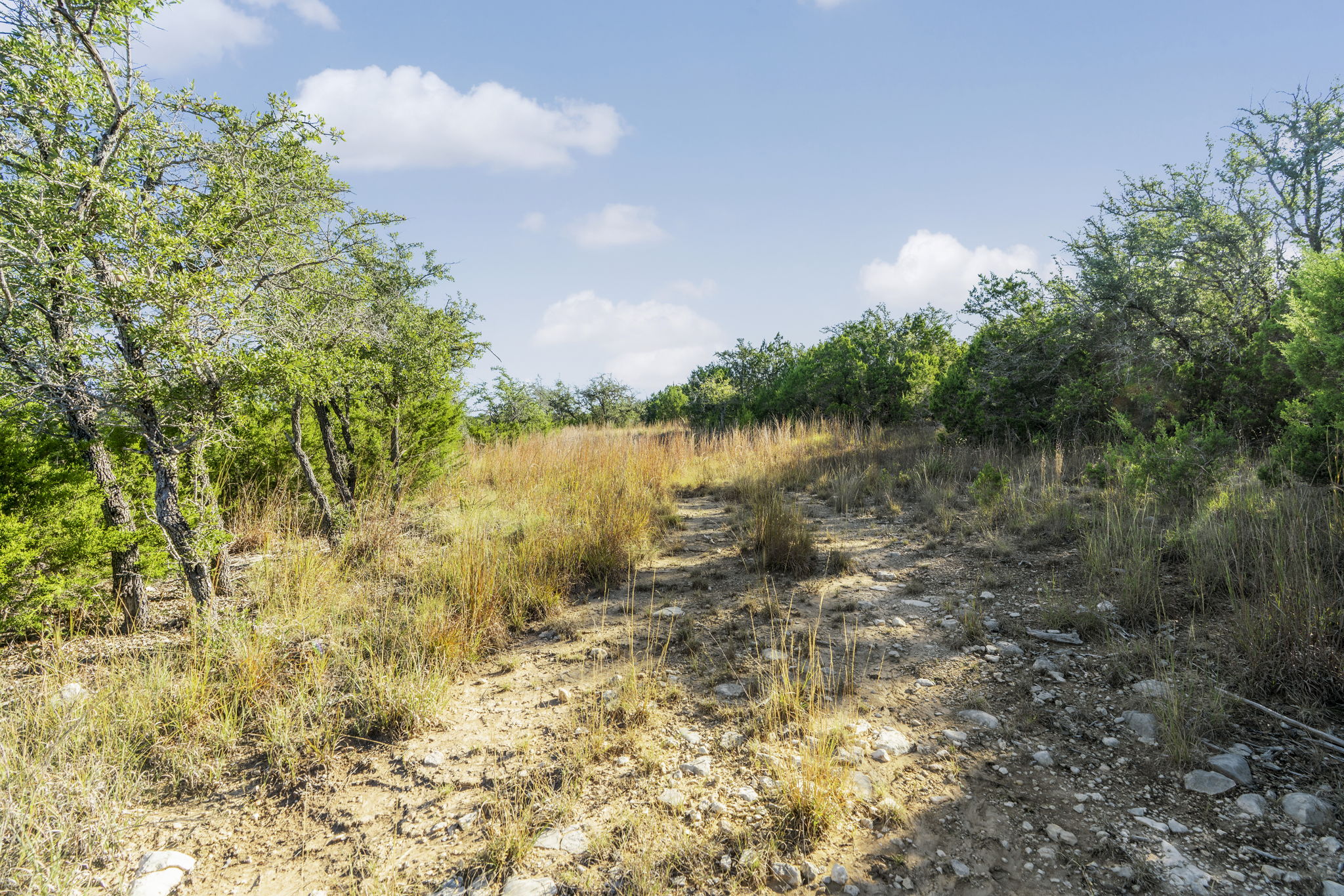 2021 Stagecoach Ranch Road Dripping Springs, TX 78620 - Photo 12 of 35 a view of a lake with lots of trees