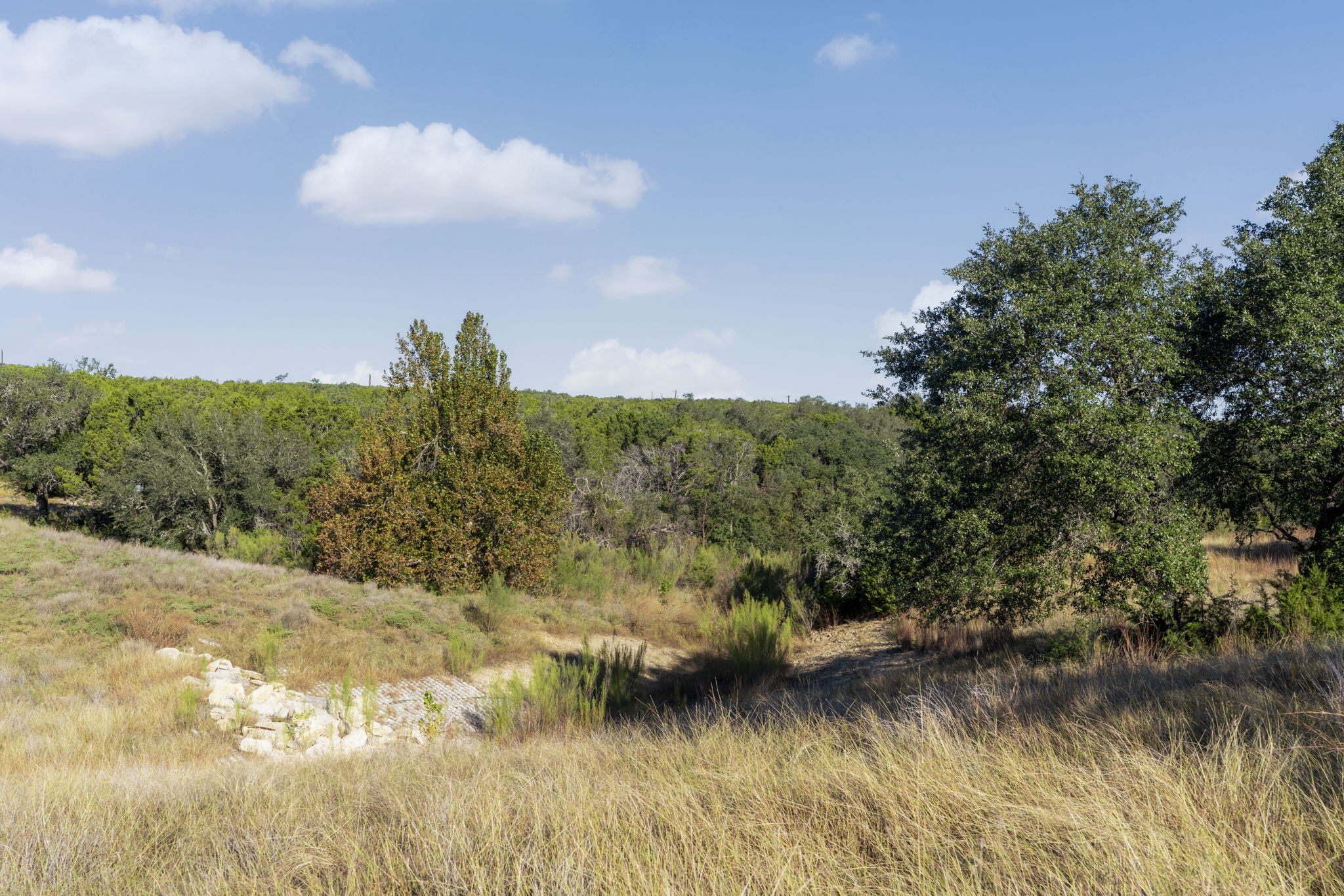 2021 Stagecoach Ranch Road Dripping Springs, TX 78620 - Photo 13 of 35 a view of a lake