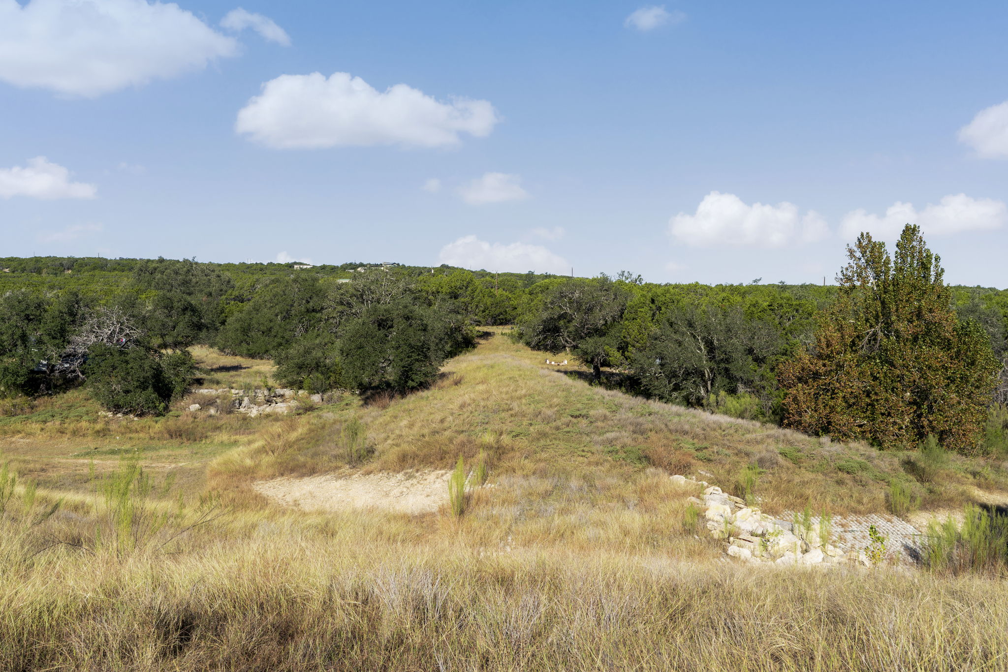 2021 Stagecoach Ranch Road Dripping Springs, TX 78620 - Photo 14 of 35 a view of a houses with a lake