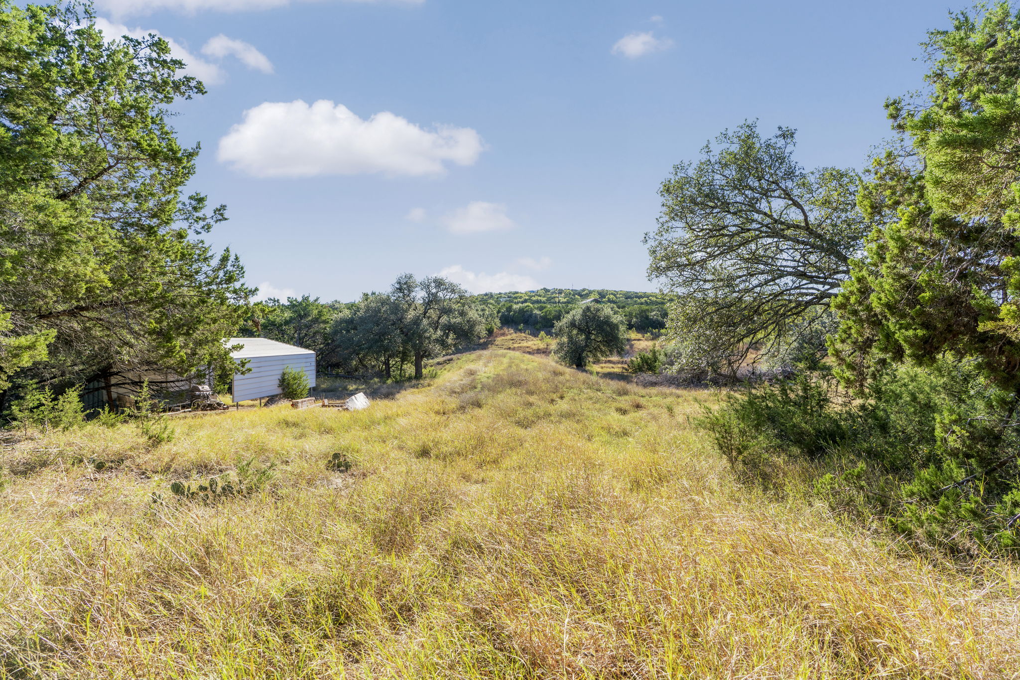 2021 Stagecoach Ranch Road Dripping Springs, TX 78620 - Photo 16 of 35 a view of a yard with plants and trees
