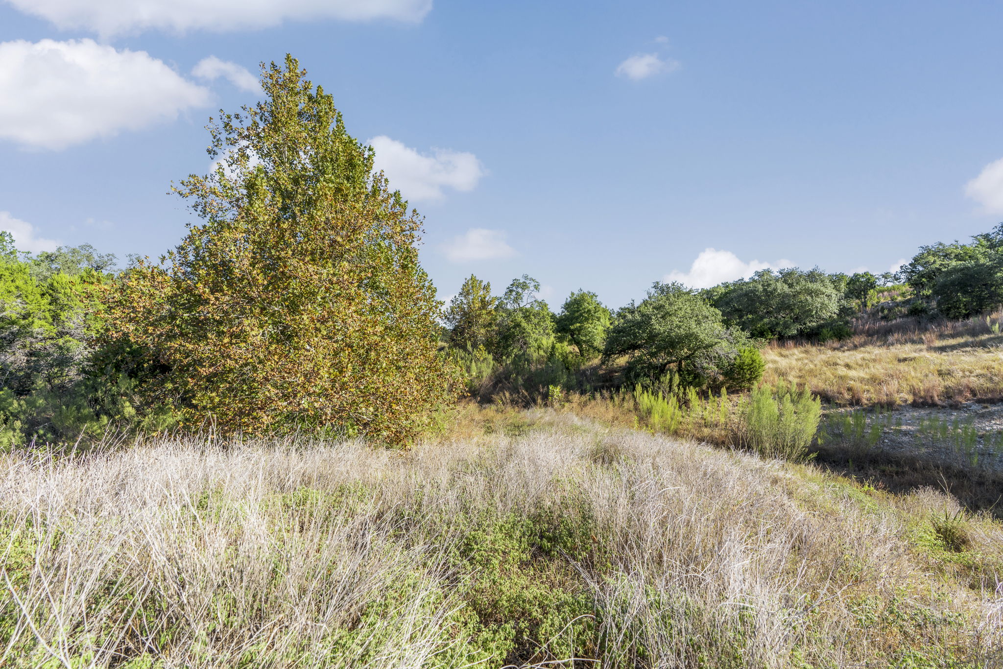 2021 Stagecoach Ranch Road Dripping Springs, TX 78620 - Photo 17 of 35 a view of lake