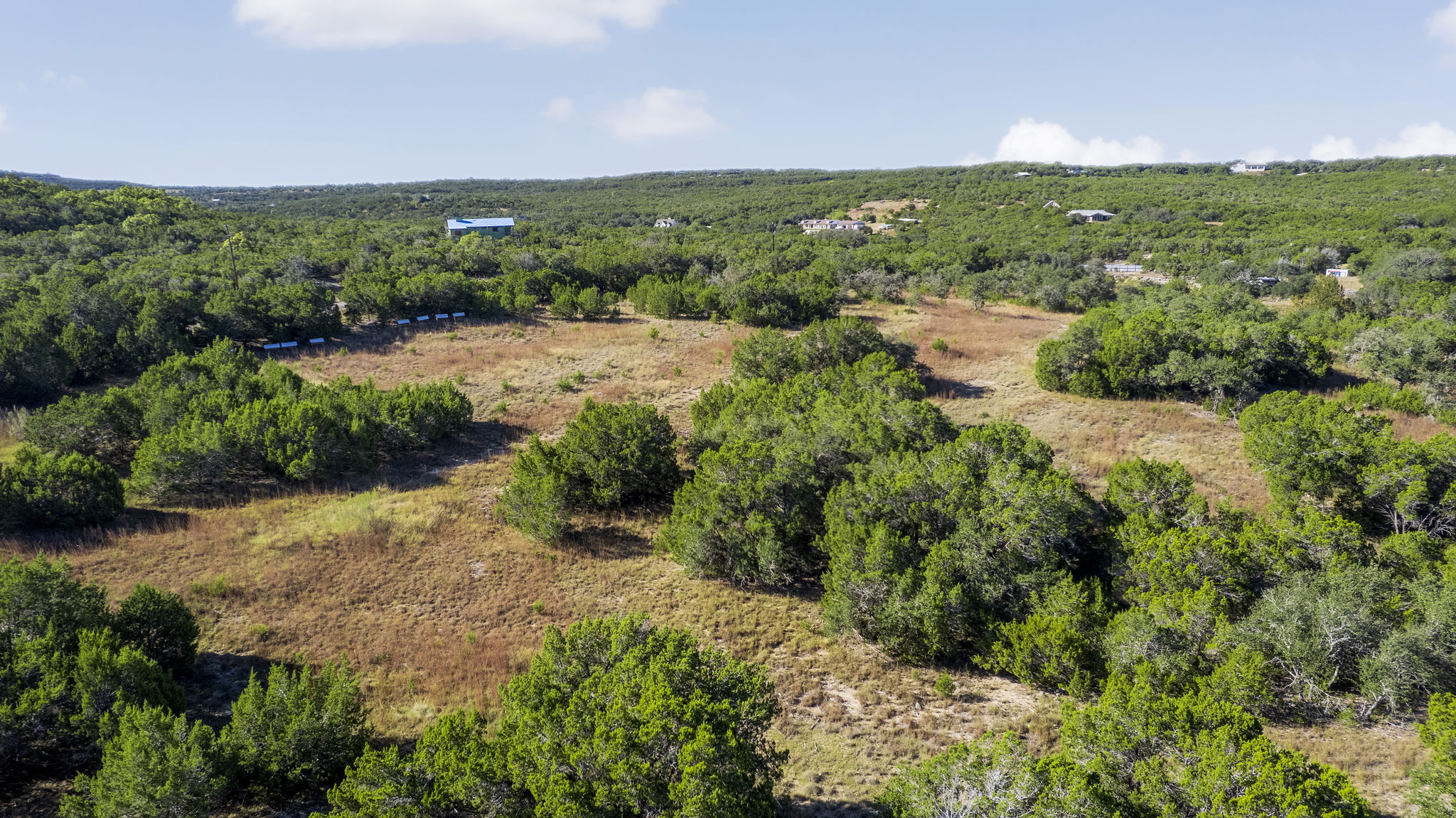 2021 Stagecoach Ranch Road Dripping Springs, TX 78620 - Photo 19 of 35 a view of a lush green forest with lots of trees
