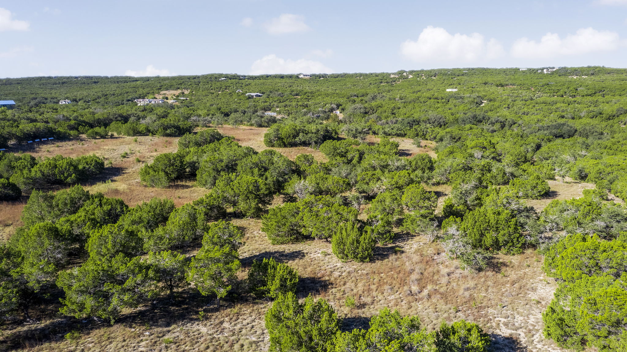 2021 Stagecoach Ranch Road Dripping Springs, TX 78620 - Photo 20 of 35 a view of a green field with lots of plants in it