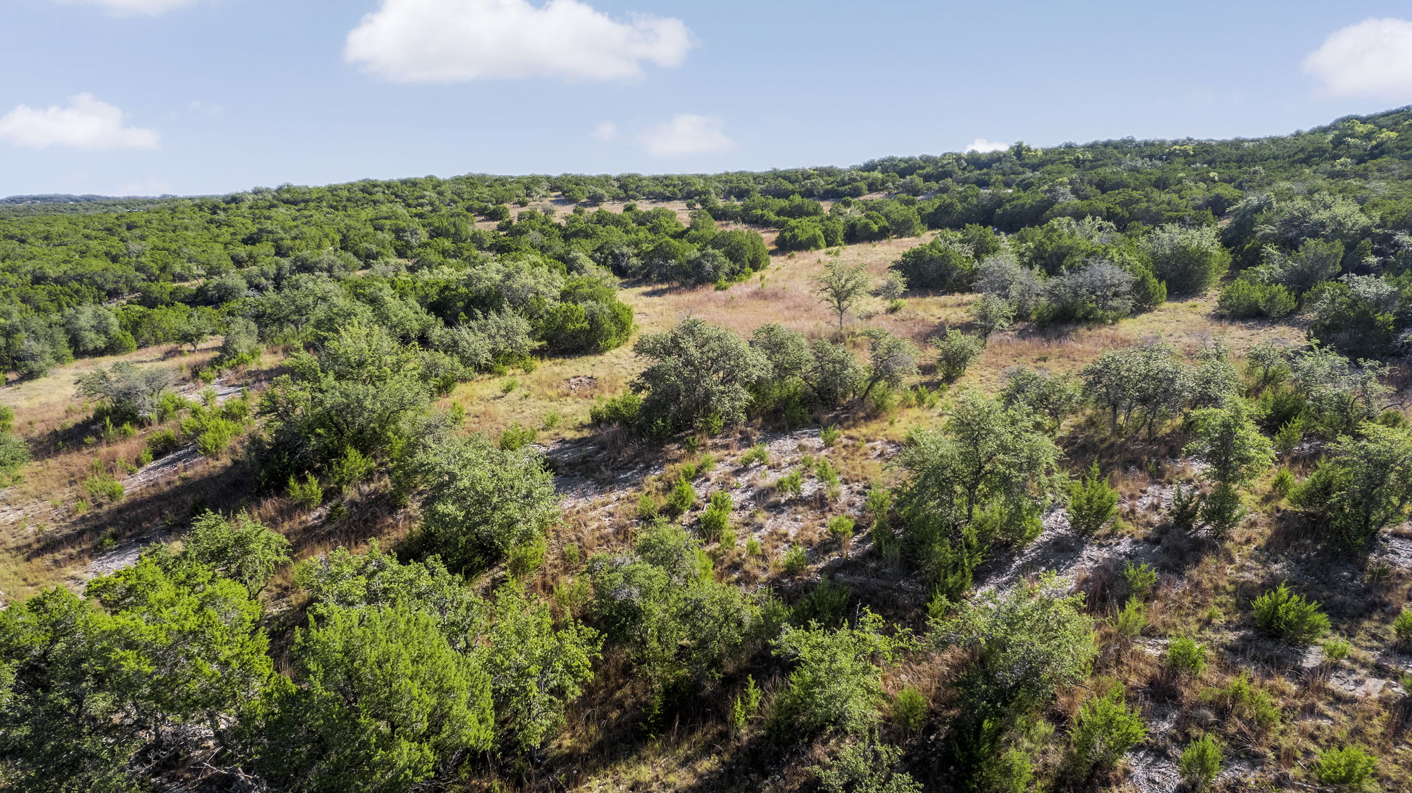 2021 Stagecoach Ranch Road Dripping Springs, TX 78620 - Photo 21 of 35 a view of a green field
