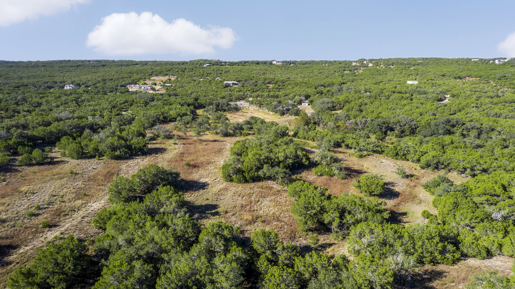 2021 Stagecoach Ranch Road Dripping Springs, TX 78620 - Photo 25 of 35 a view of a green field with lots of plants in it