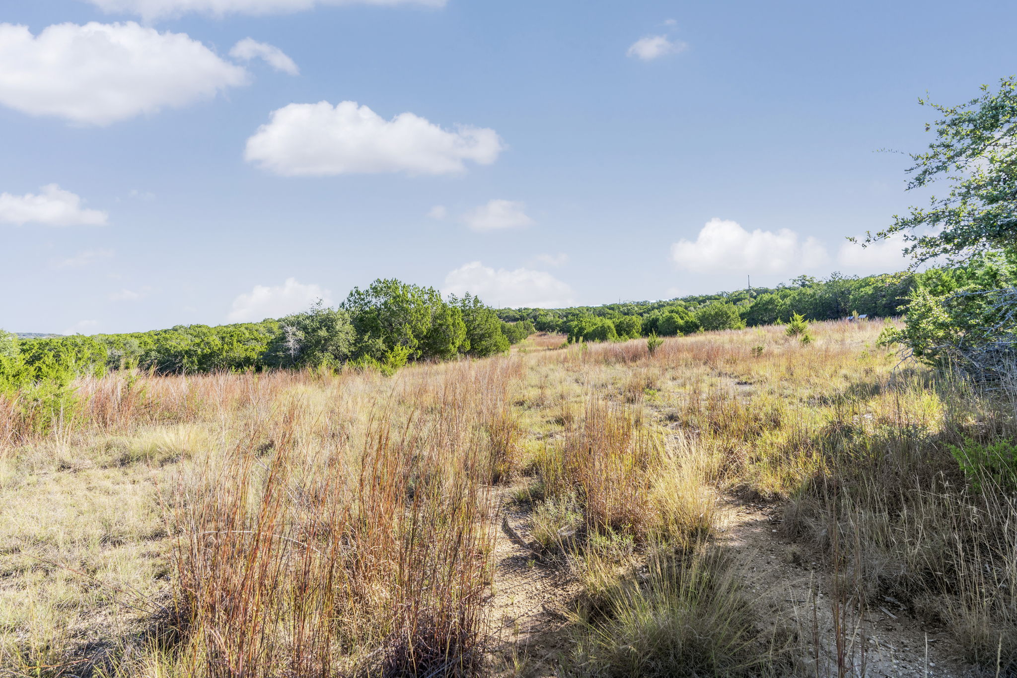 2021 Stagecoach Ranch Road Dripping Springs, TX 78620 - Photo 3 of 35 a view of lake with green space