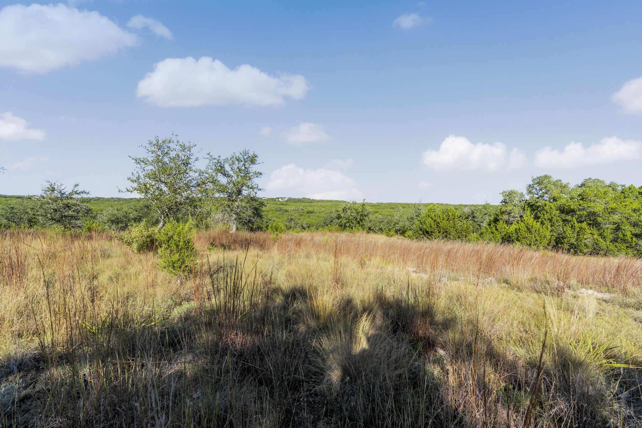 2021 Stagecoach Ranch Road Dripping Springs, TX 78620 - Photo 4 of 35 a view of lake