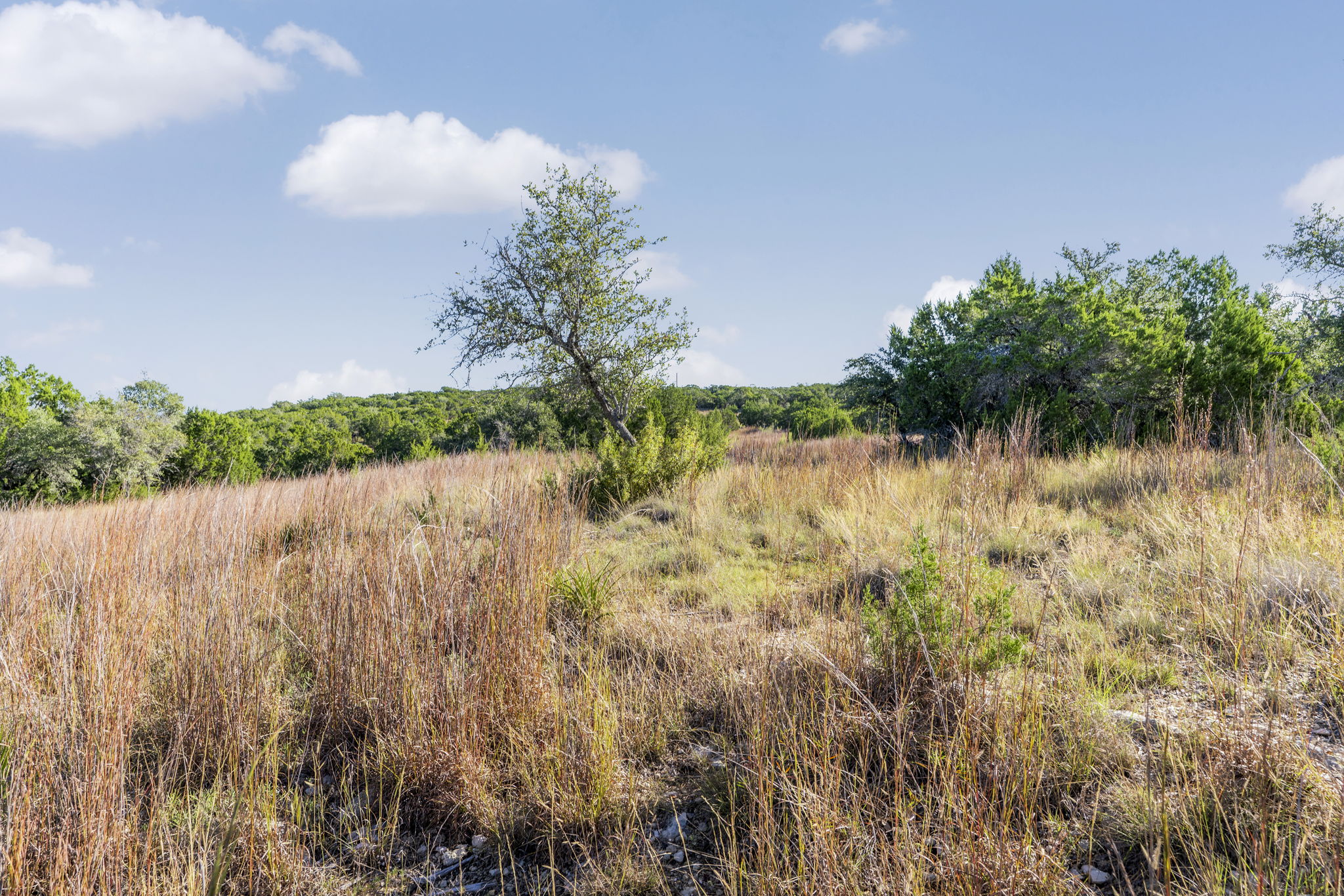 2021 Stagecoach Ranch Road Dripping Springs, TX 78620 - Photo 5 of 35 a view of lake with green space