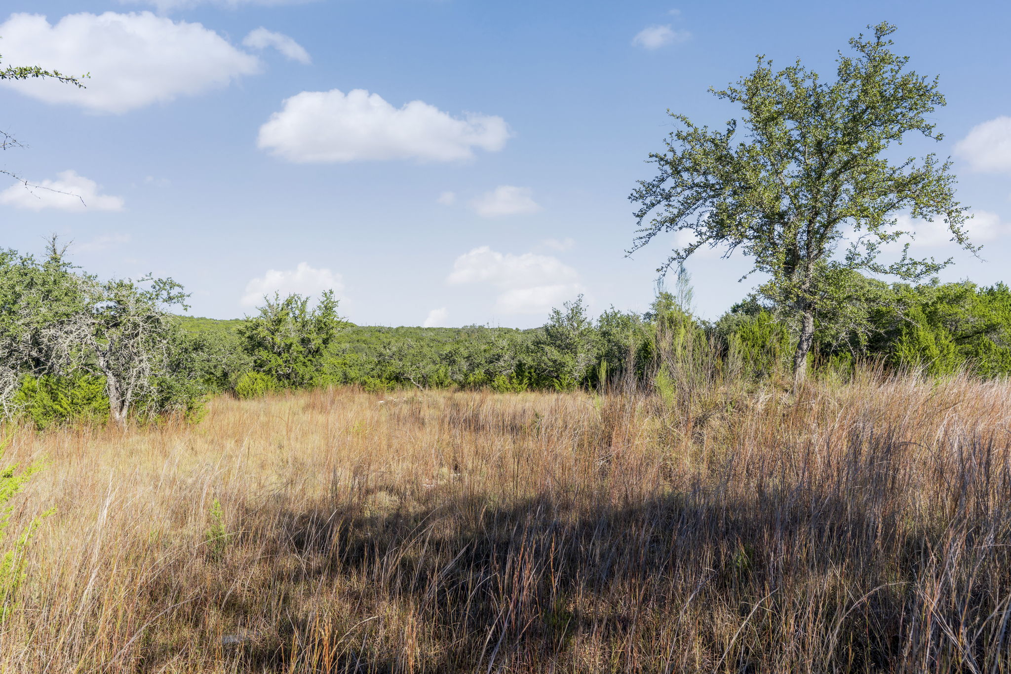 2021 Stagecoach Ranch Road Dripping Springs, TX 78620 - Photo 7 of 35 a view of a lake with a tree in the background