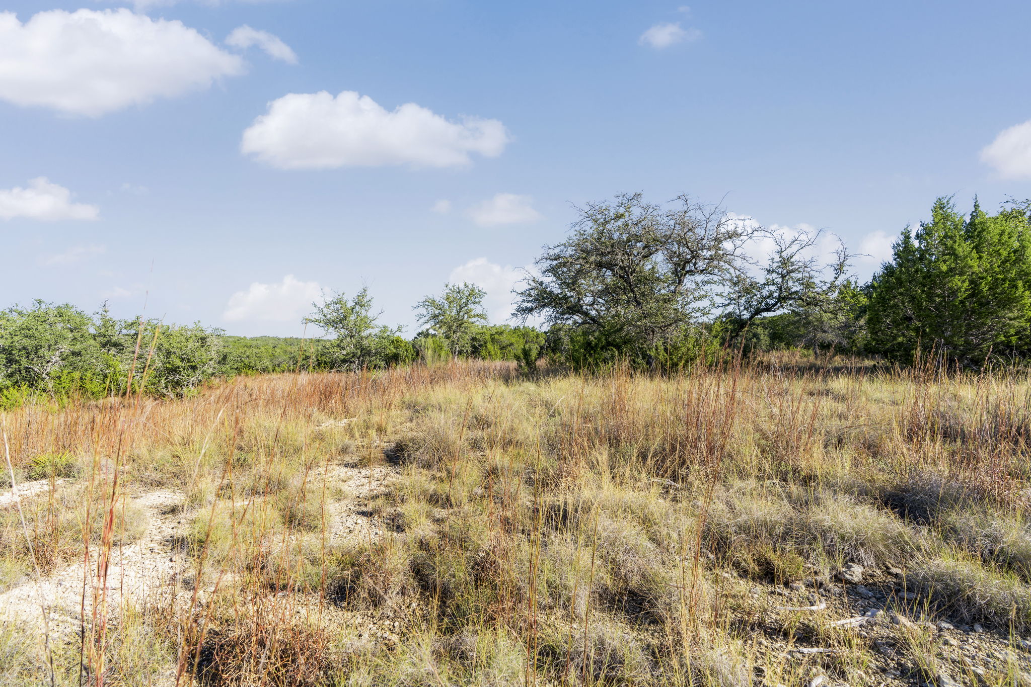 2021 Stagecoach Ranch Road Dripping Springs, TX 78620 - Photo 8 of 35 a view of lake with green space