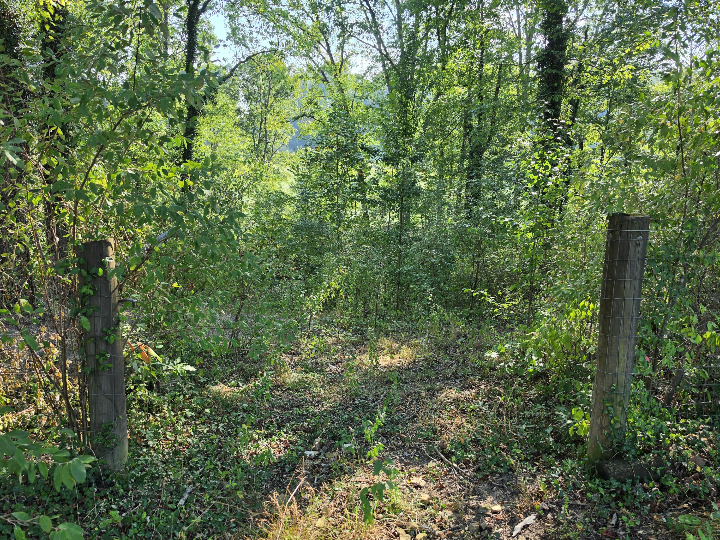 5361 Flemingsburg Road Morehead, KY 40351 - Photo 29 of 31 16797
