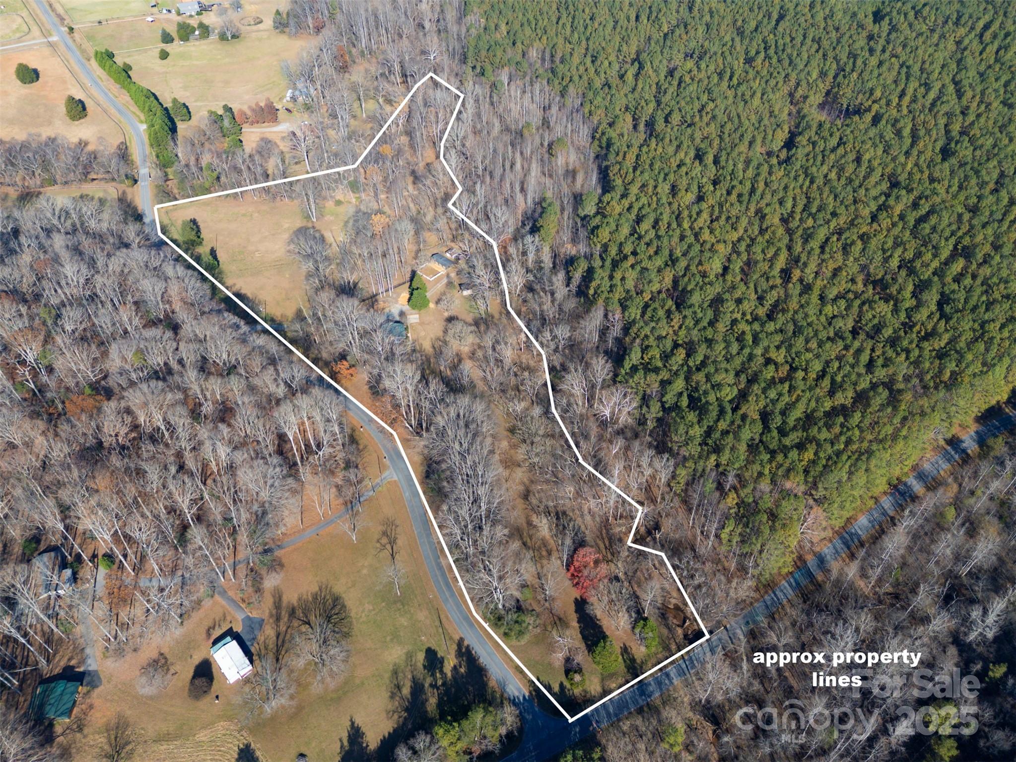 1905 McEntire Road Tryon, NC 28782 - Photo 2 of 44