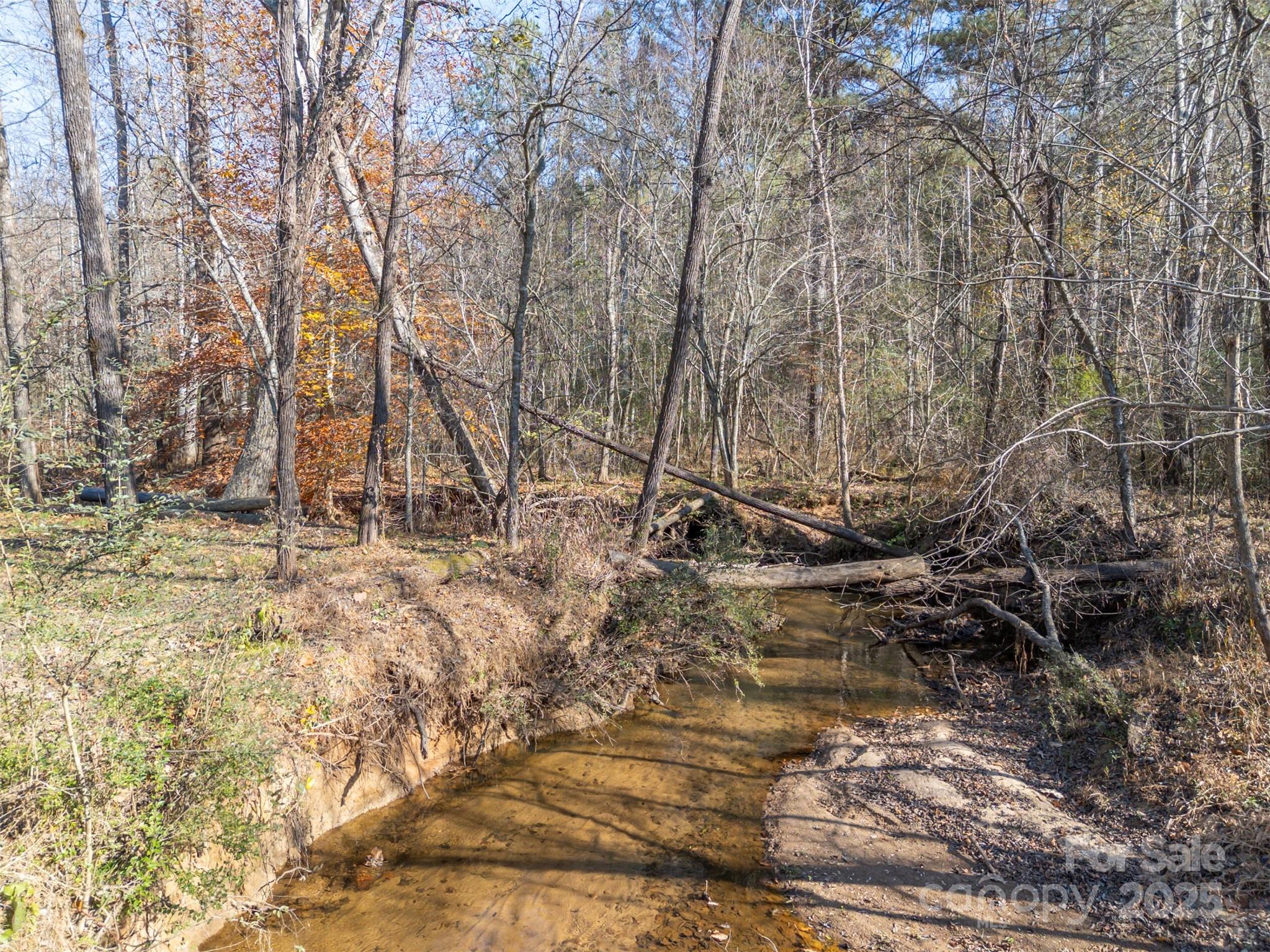 1905 McEntire Road Tryon, NC 28782 - Photo 3 of 44
