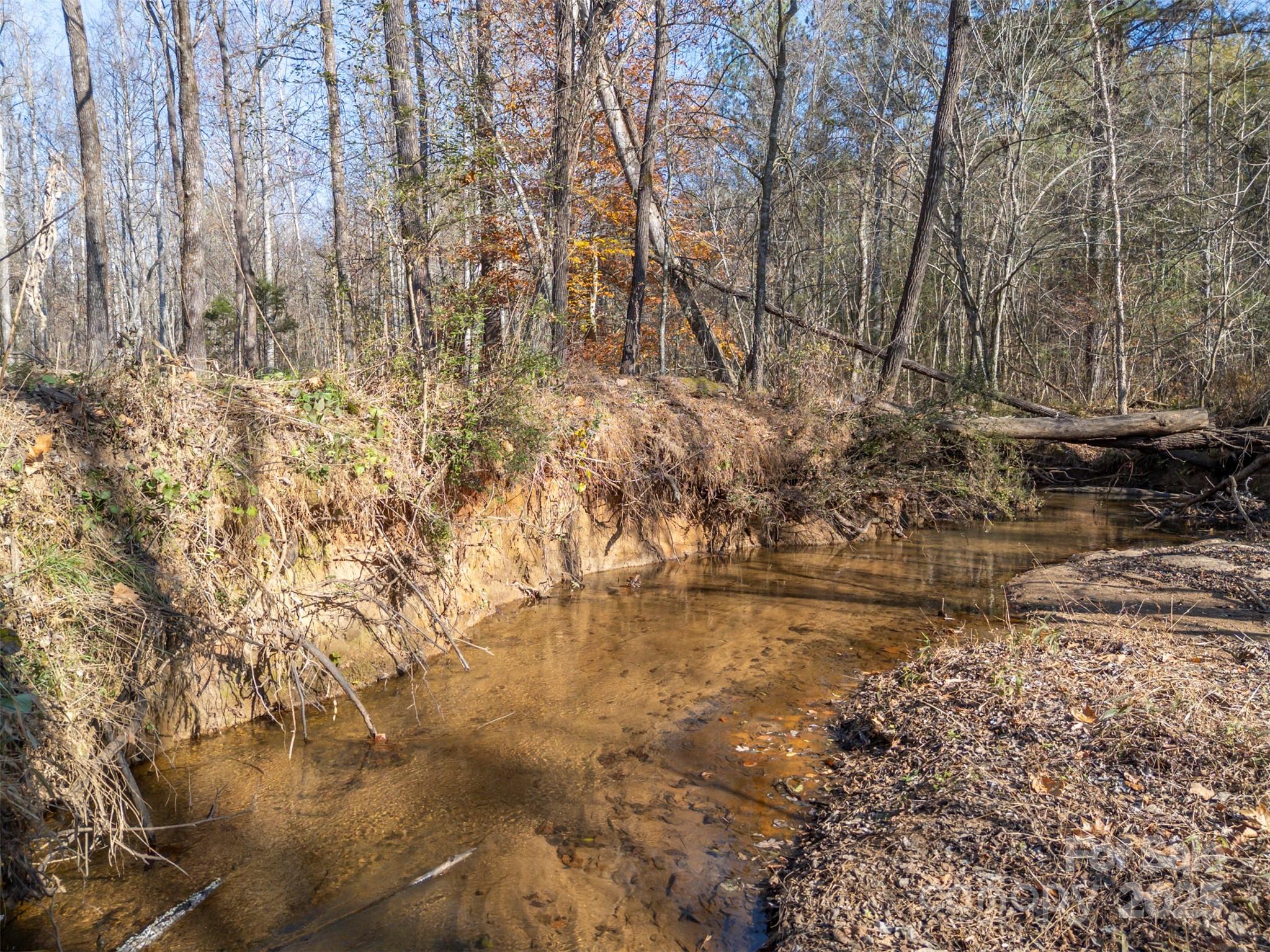 1905 McEntire Road Tryon, NC 28782 - Photo 35 of 44