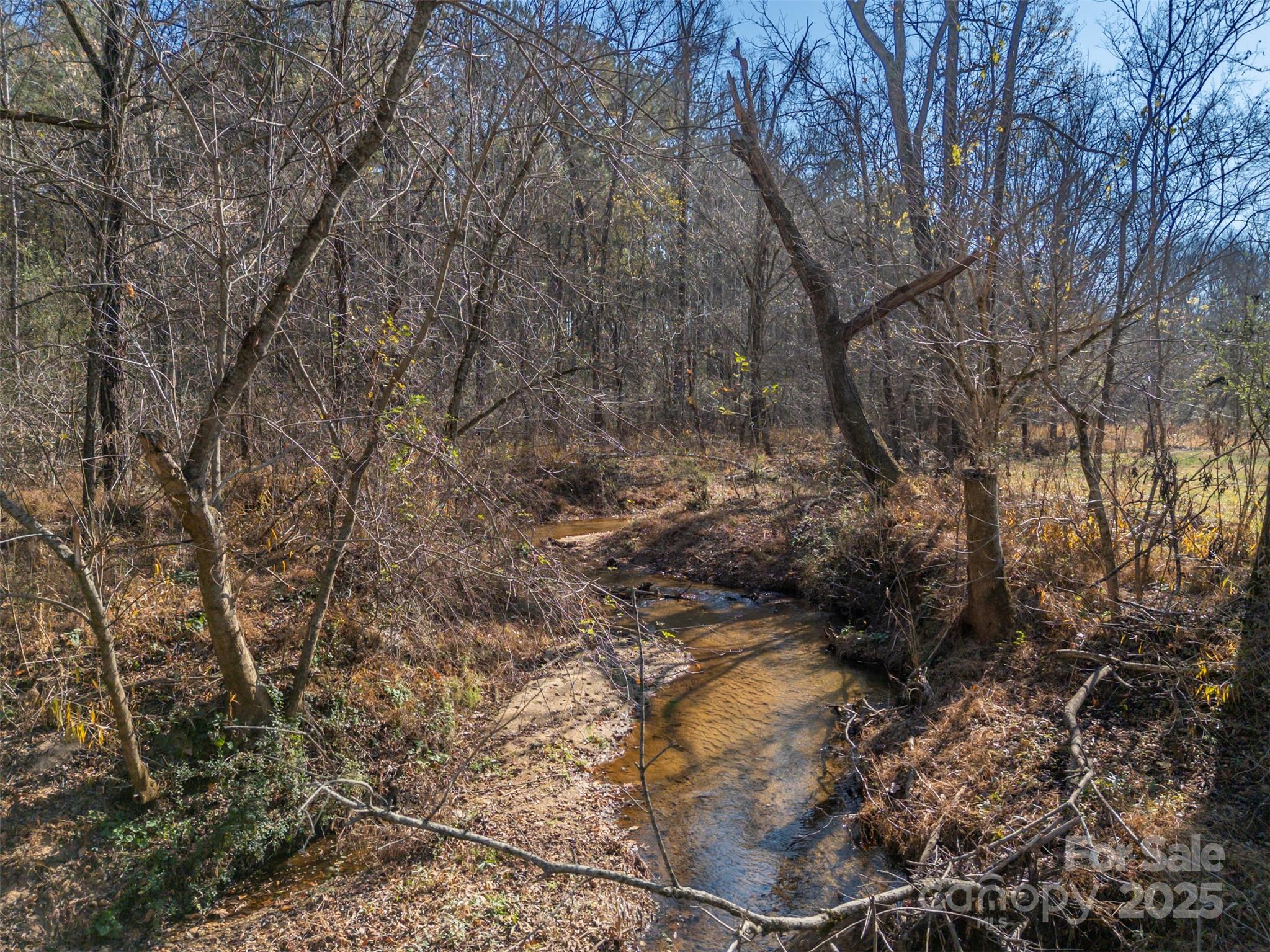 1905 McEntire Road Tryon, NC 28782 - Photo 36 of 44