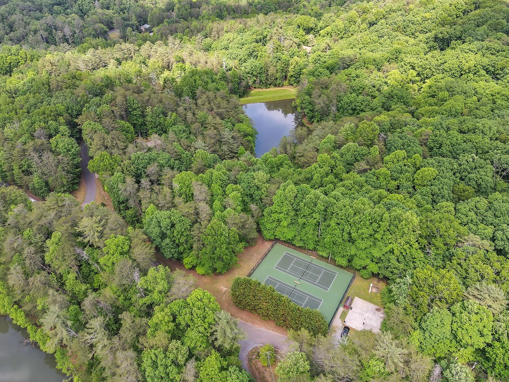 1689 Walnut Ridge Ellijay, GA 30536 - Photo 34 of 38 Gallery Image 34