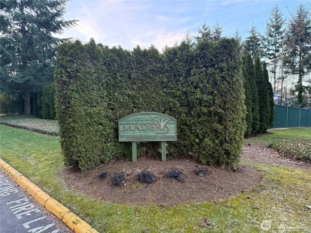 a view of a bench in the middle of a forest