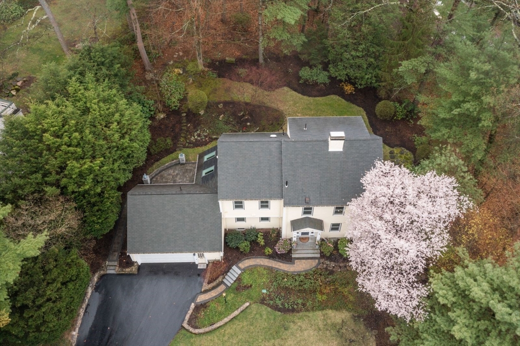 11 Sterling Road Wellesley, MA 02482 - Photo 3 of 42