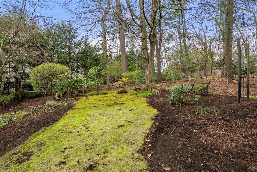 11 Sterling Road Wellesley, MA 02482 - Photo 42 of 42