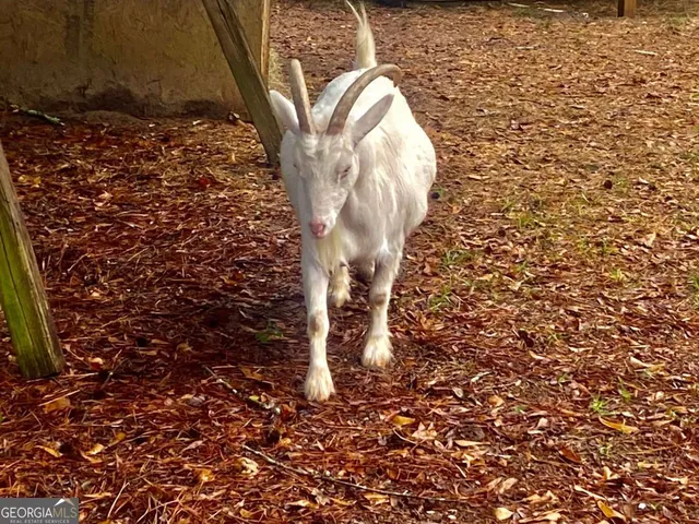 a view of a house with a big yard and large trees