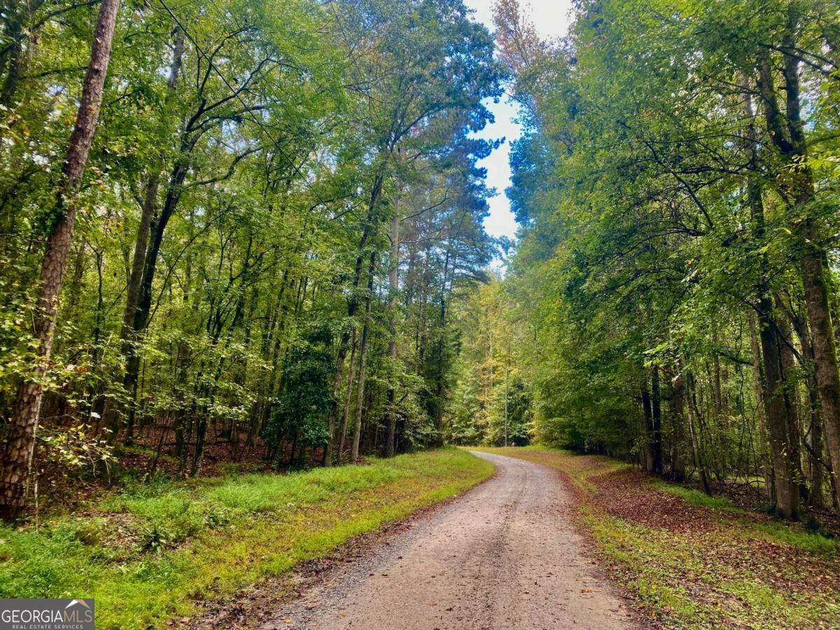 290 Poplar Creek Road Stephens, GA 30667 - Photo 7 of 68 a view of a street with a tree