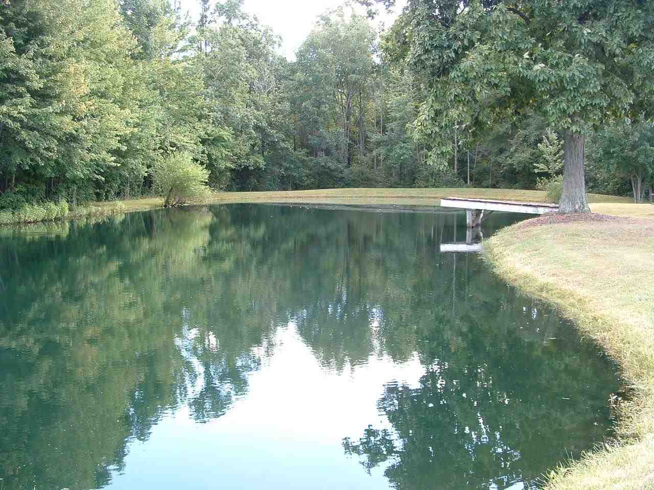 9223 West Hedrick Road Gosport, IN 47433 - Photo 2 of 23 Gallery Image 2
