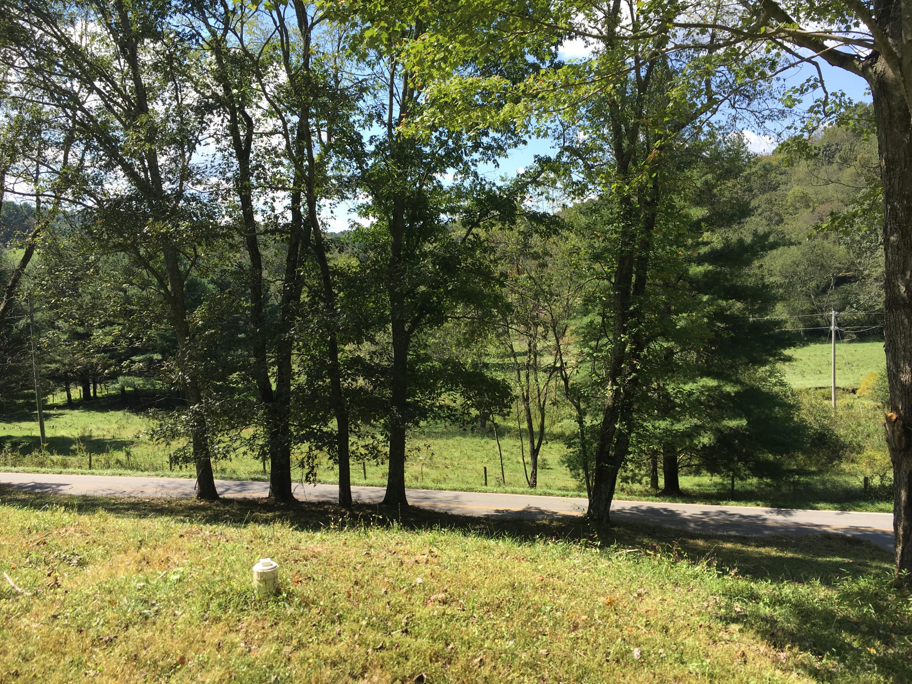 2205 Conner Grove Road Southwest Willis, VA 24380 - Photo 11 of 18 a view of a yard with large trees