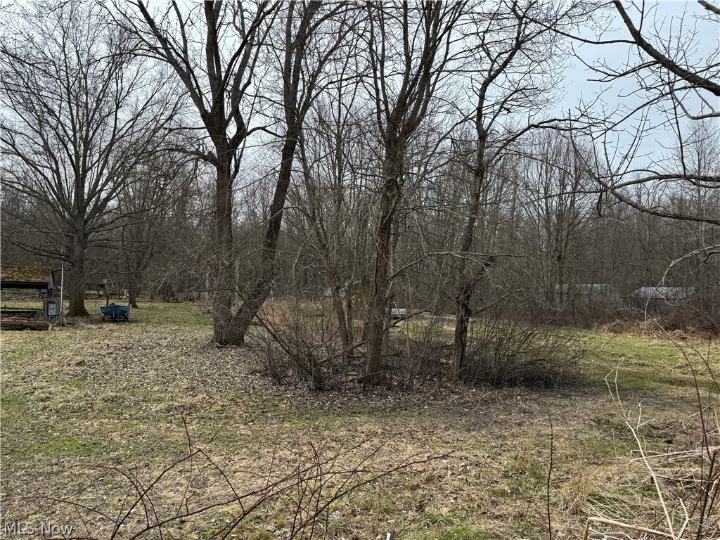 6330 North Bend Road Ashtabula, OH 44004 - Photo 6 of 9