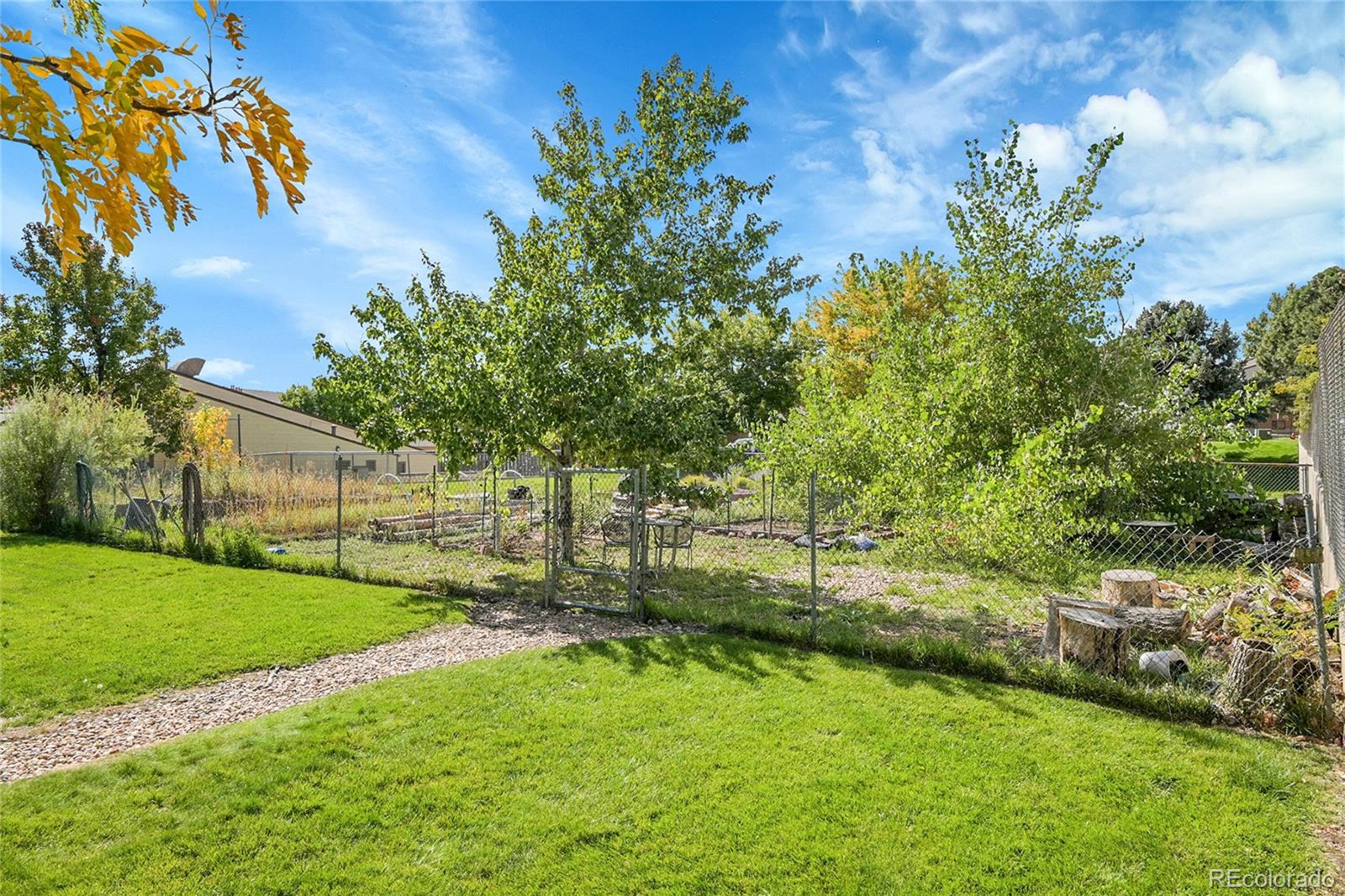 539 Wright Street, Unit 301 Lakewood, CO 80228 - Photo 29 of 32 a view of a garden with a tree