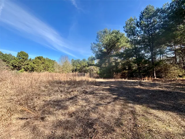 a view of a yard with trees