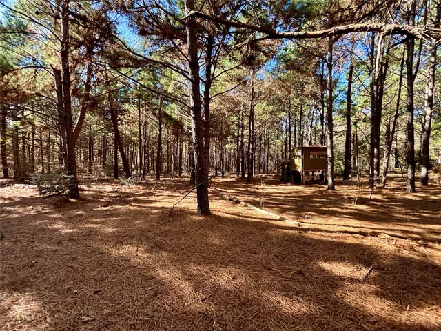 a view of a backyard with trees