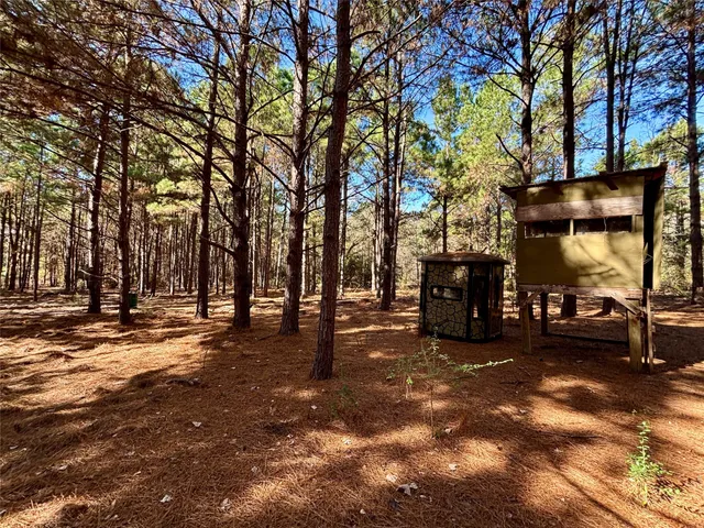 a view of a yard with trees