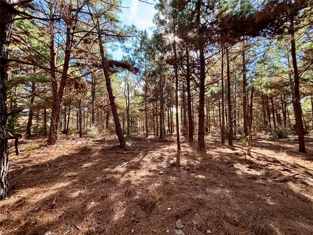 a view of an outdoor space