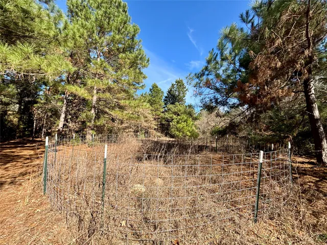 a view of outdoor space with yard