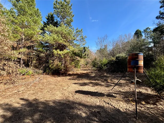 a view of a tree with a yard