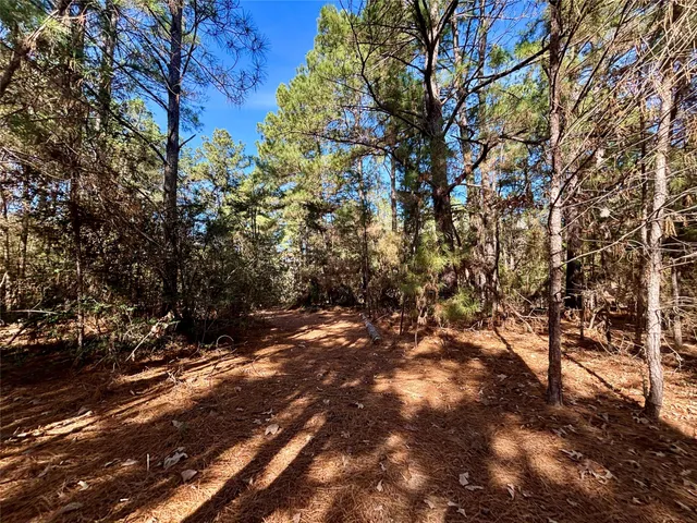 a view of a yard with a tree