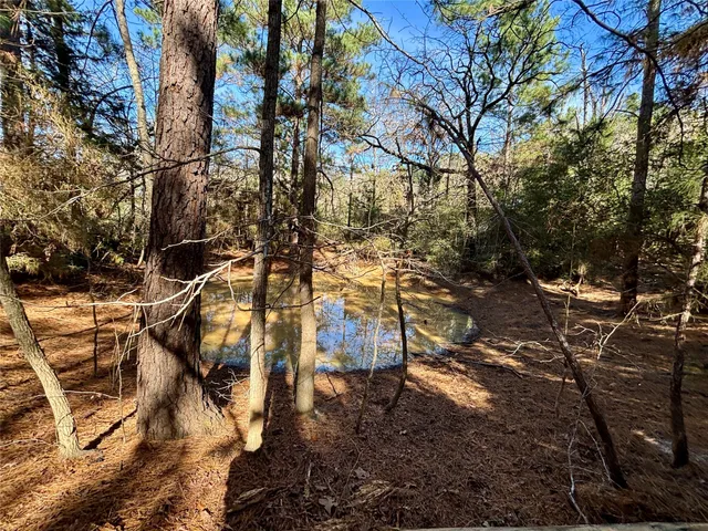 a view of a yard with plants and trees