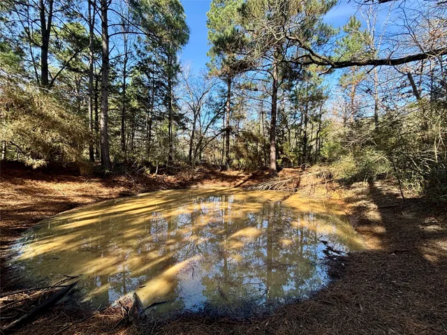 a view of a tree with a yard
