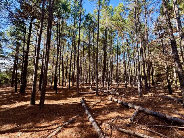 a view of a lake with a mountain in the background