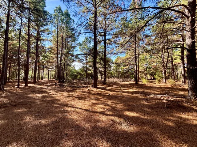 $325,000 | 300 Oakwood Tx 75855, Oakwood, TX 75855