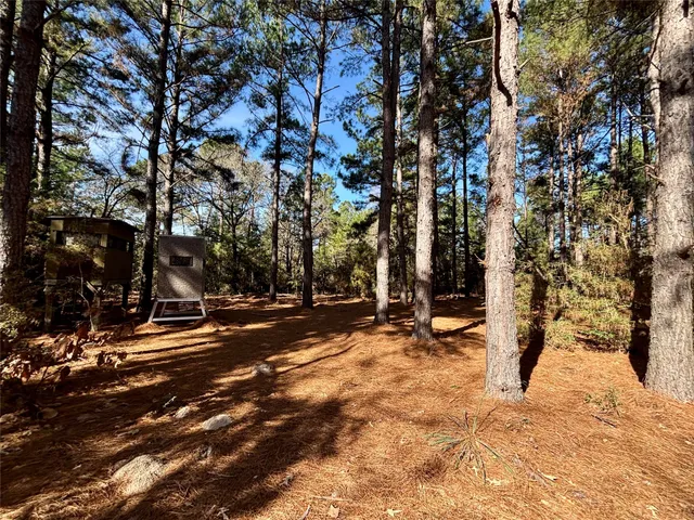 $325,000 | 300 Oakwood Tx 75855, Oakwood, TX 75855