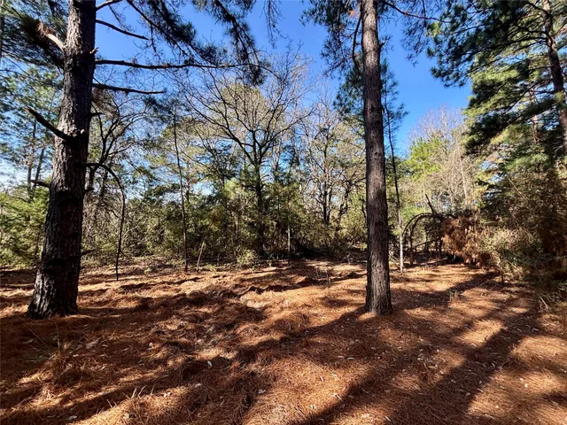 $325,000 | 300 Oakwood Tx 75855, Oakwood, TX 75855