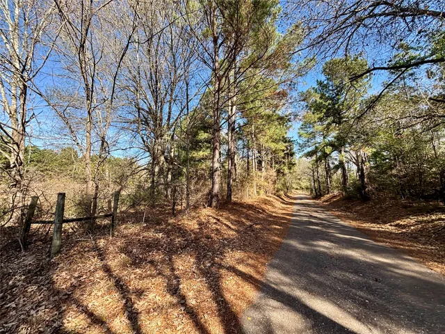 a view of road and trees