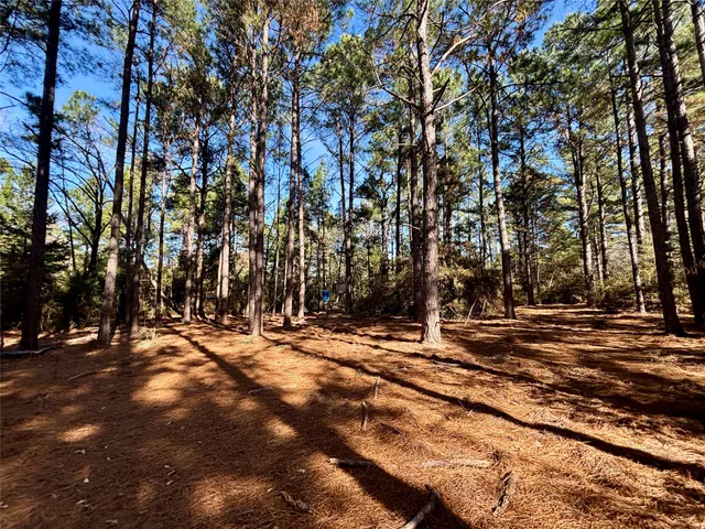 $325,000 | 300 Oakwood Tx 75855, Oakwood, TX 75855