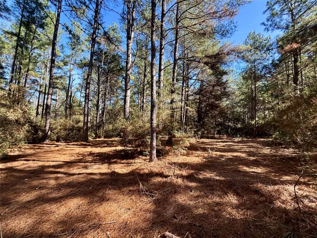 $325,000 | 300 Oakwood Tx 75855, Oakwood, TX 75855