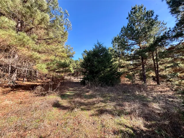 $325,000 | 300 Oakwood Tx 75855, Oakwood, TX 75855