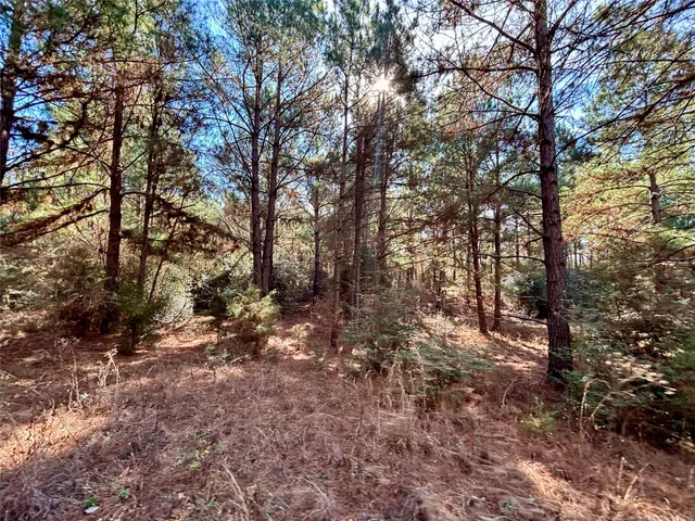 $325,000 | 300 Oakwood Tx 75855, Oakwood, TX 75855