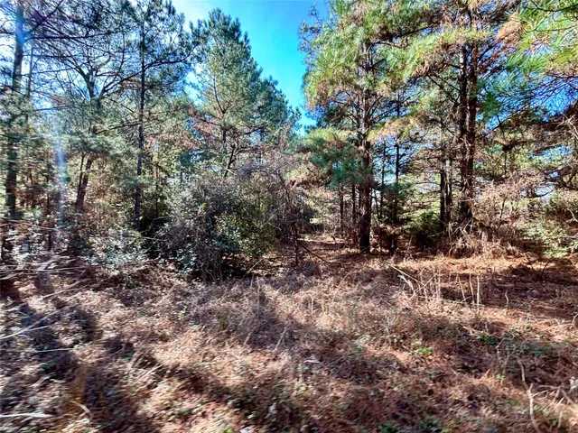 $325,000 | 300 Oakwood Tx 75855, Oakwood, TX 75855